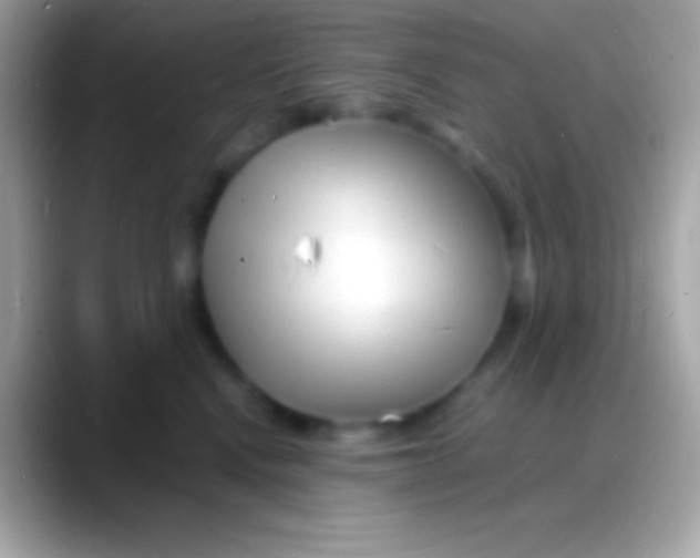 X0000088130472200706041322