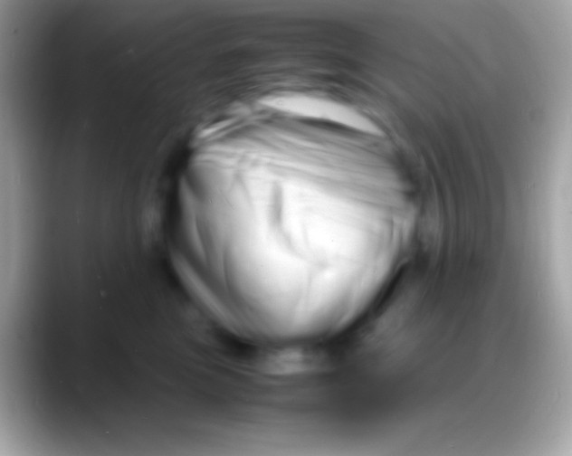 X0000088130473200706041322