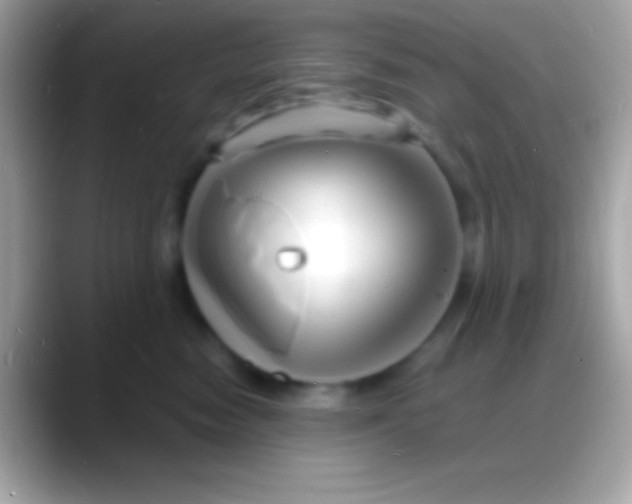 X0000088130474200706041322