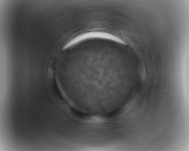 X0000088130475200706041322