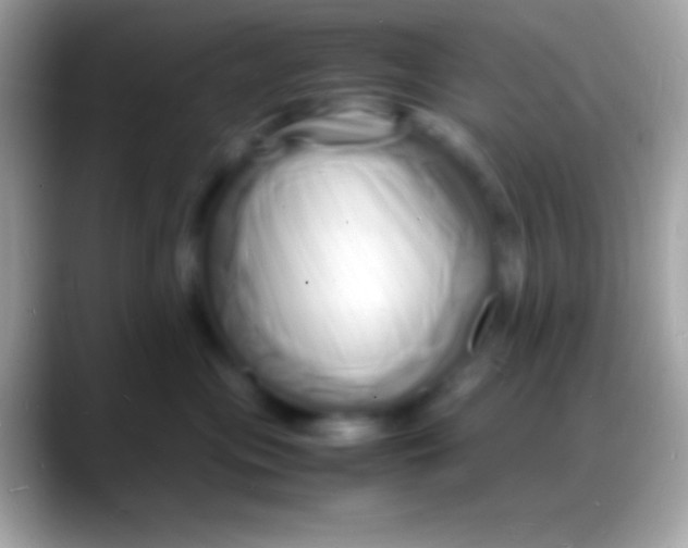 X0000088130477200706041322