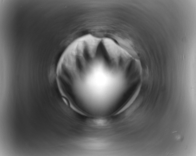 X0000088130478200706041322