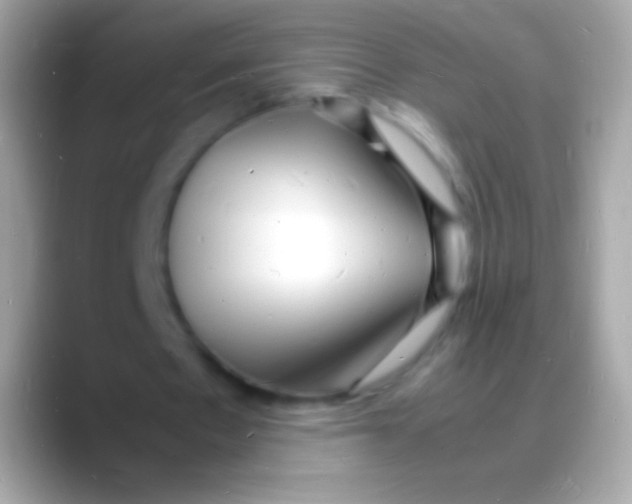 X0000088130481200706041322