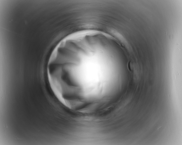 X0000088130482200706041322