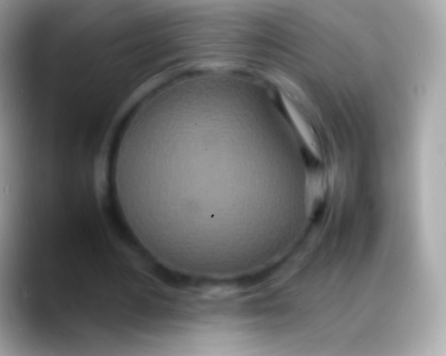 X0000088130484200706041322