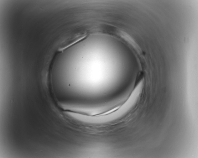 X0000088130485200706041322