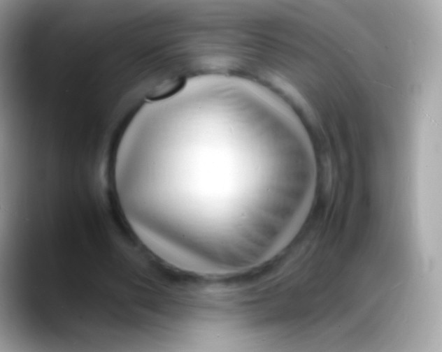 X0000088130486200706041322