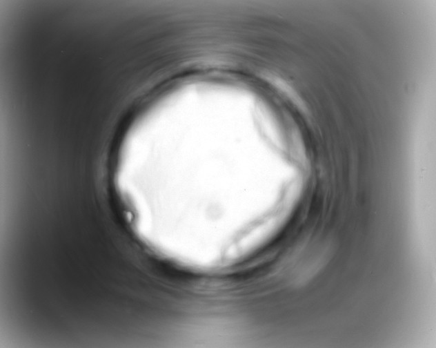 X0000088130487200706041322