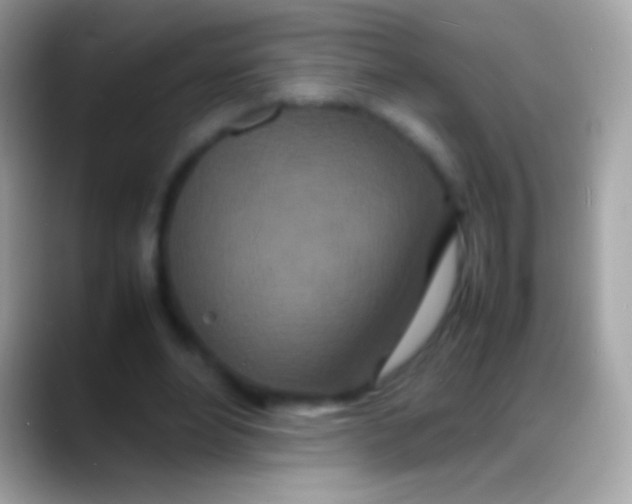 X0000088130488200706041322