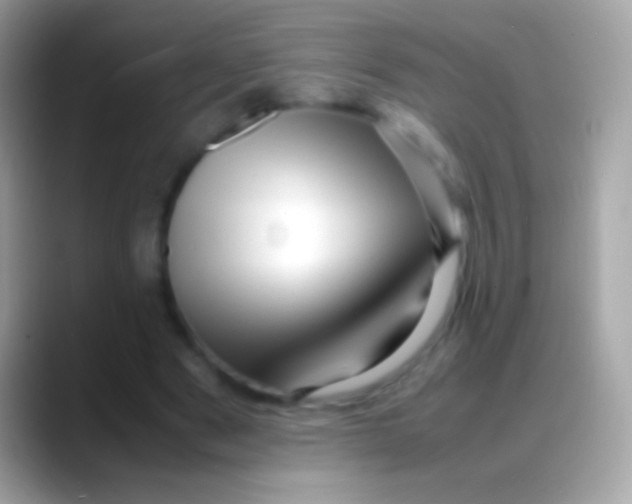 X0000088130489200706041322