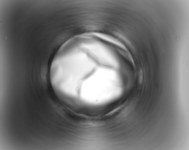 X0000088130490200706041322