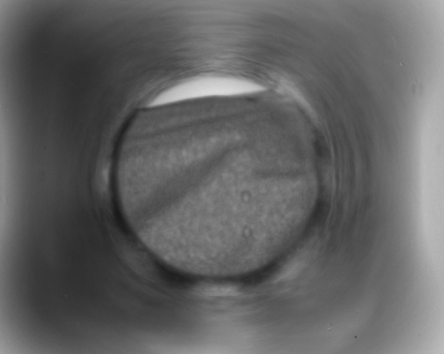 X0000088130491200706041322