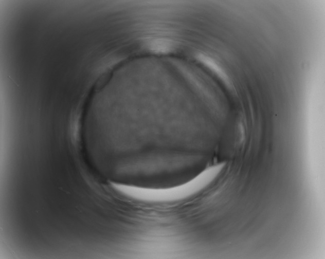 X0000088130492200706041322