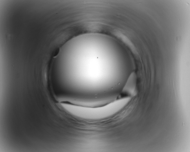 X0000088130493200706041322