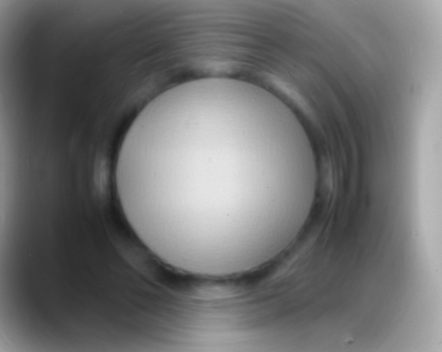 X0000088130494200706041322