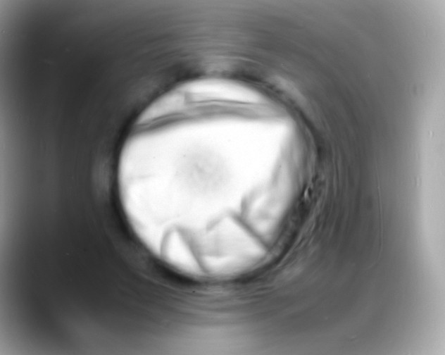 X0000088130495200706041321