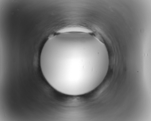 X0000088130497200706041321