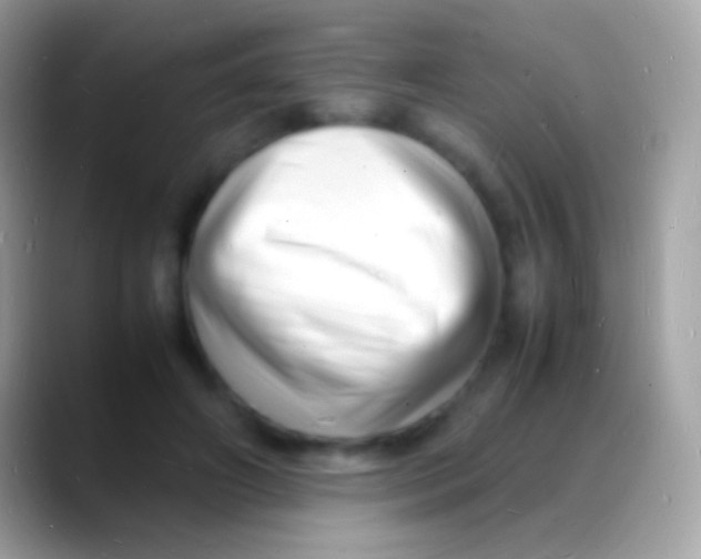 X0000088130498200706041321