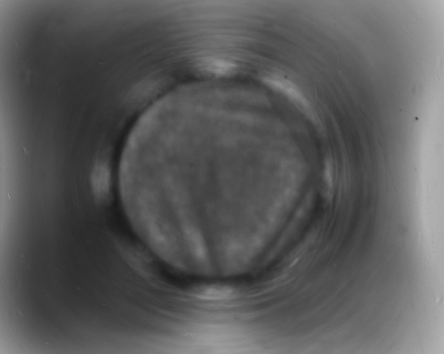 X0000088130500200706041321