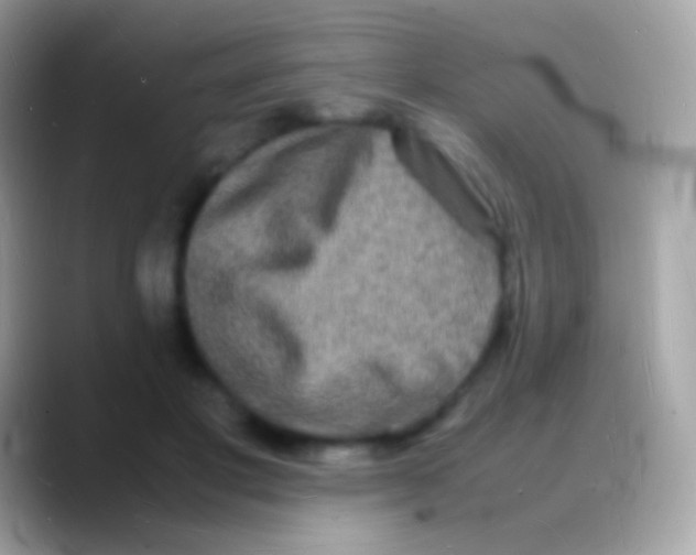 X0000088130501200706041321