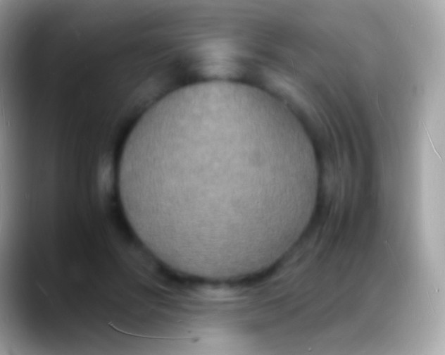 X0000088130502200706041321