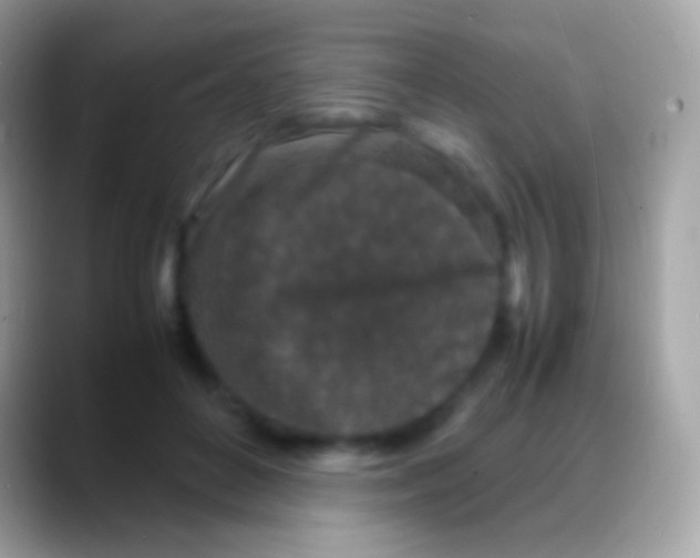 X0000088130504200706041321