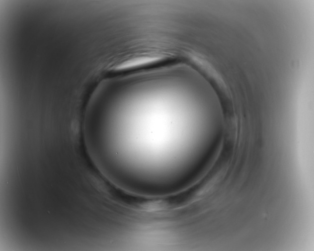 X0000088130505200706041321