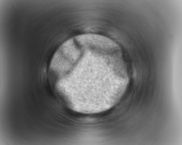 X0000088130506200706041321