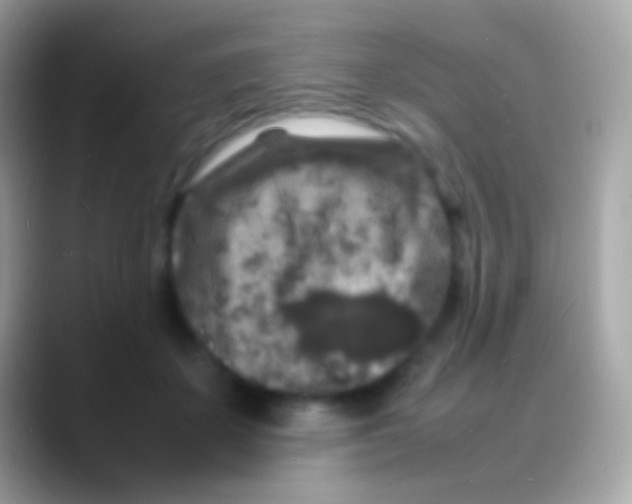 X0000088130507200706041321