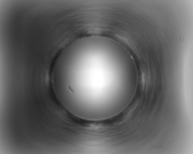 X0000088130508200706041321