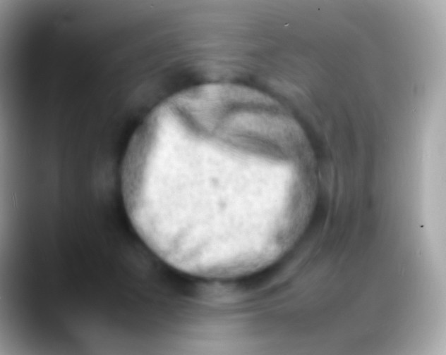 X0000088130511200706041321