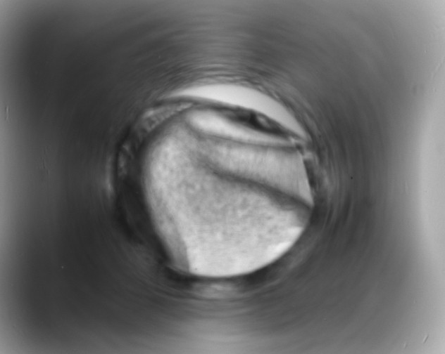 X0000088130512200706041321