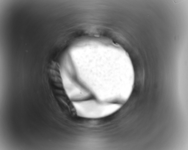 X0000088130513200706041321