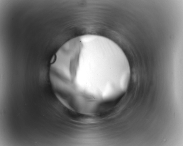 X0000088130514200706041321