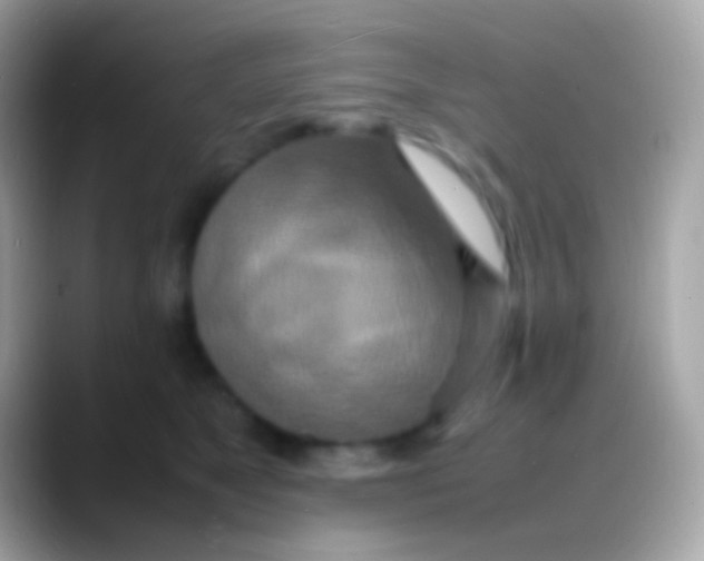 X0000088130517200706041321