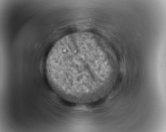 X0000088130519200706041321