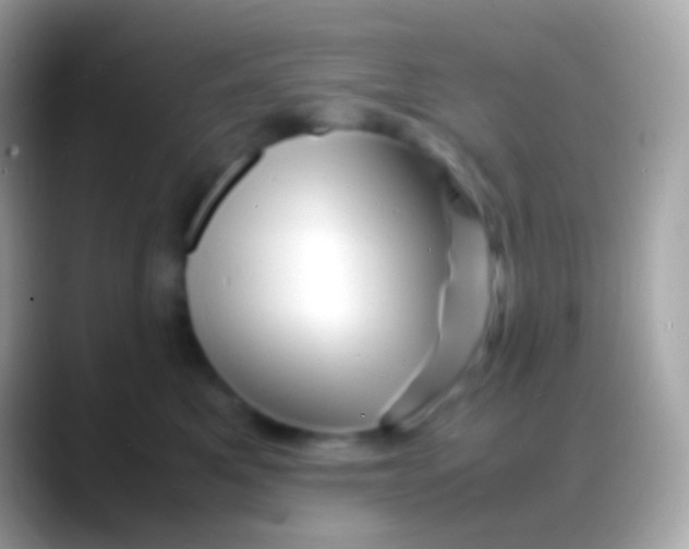 X0000088130521200706041321