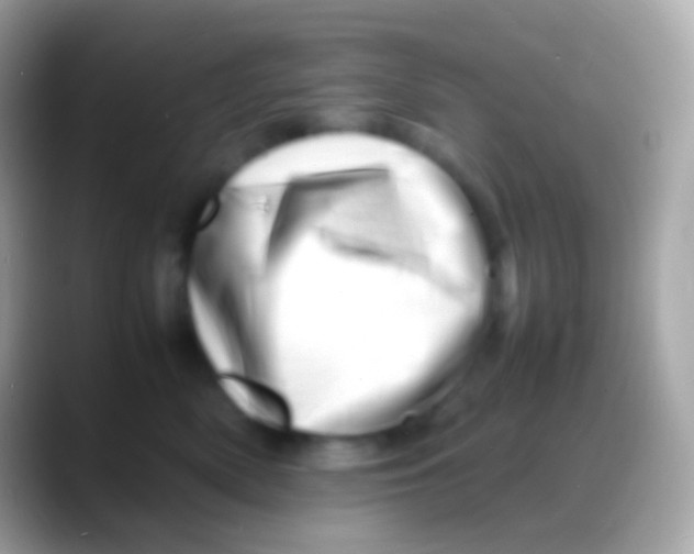 X0000088130522200706041321