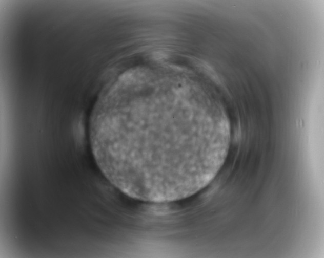 X0000088130524200706041321