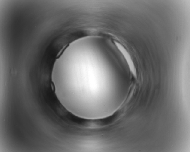 X0000088130525200706041321