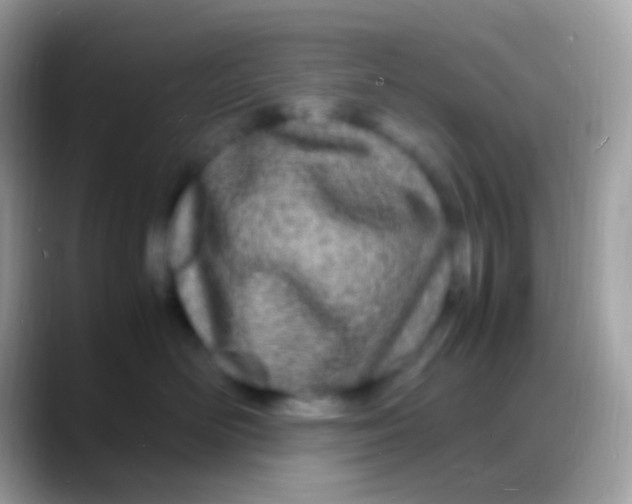 X0000088130526200706041321