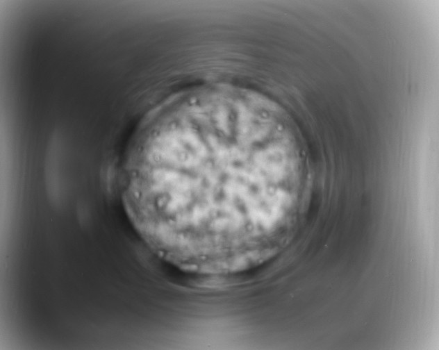 X0000088130527200706041321