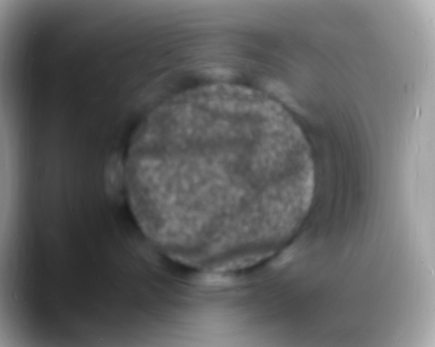 X0000088130528200706041321