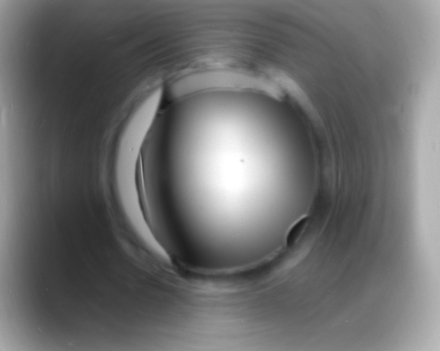 X0000088130530200706041321