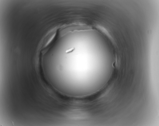 X0000088130531200706041321