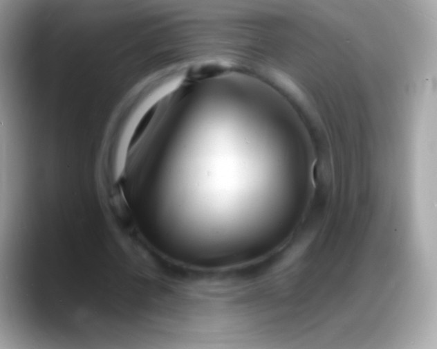 X0000088130532200706041321