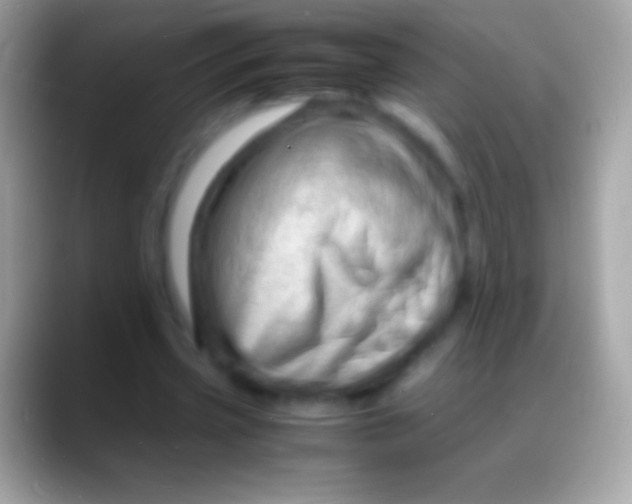 X0000088130533200706041321