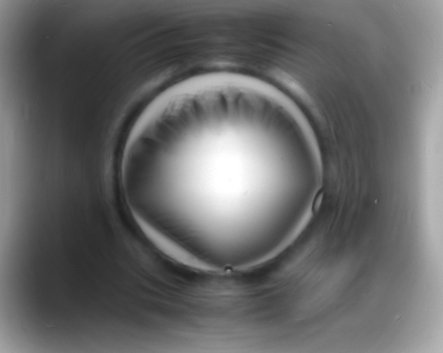 X0000088130535200706041321