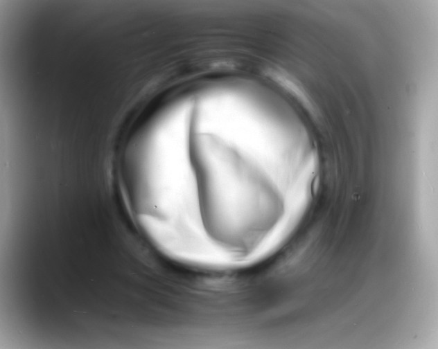 X0000088130537200706041321