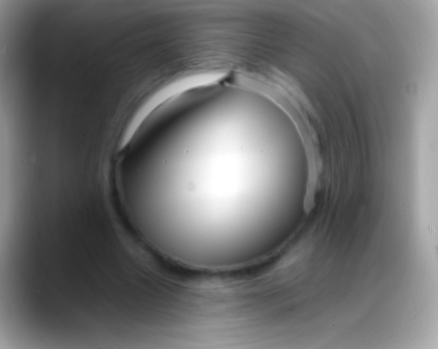 X0000088130538200706041321